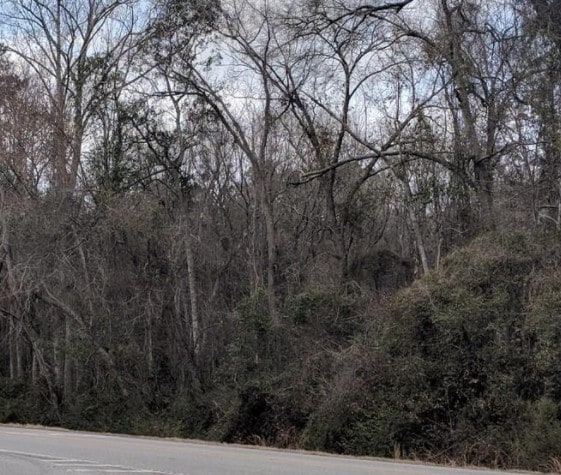 0 Ebenezer Rd, Rincon, GA for sale Primary Photo- Image 1 of 1