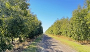 Mimbres Valley Development, Deming NM - Commercial Real Estate