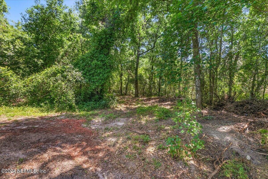 Fireside Dr, Middleburg, FL for sale - Building Photo - Image 1 of 7