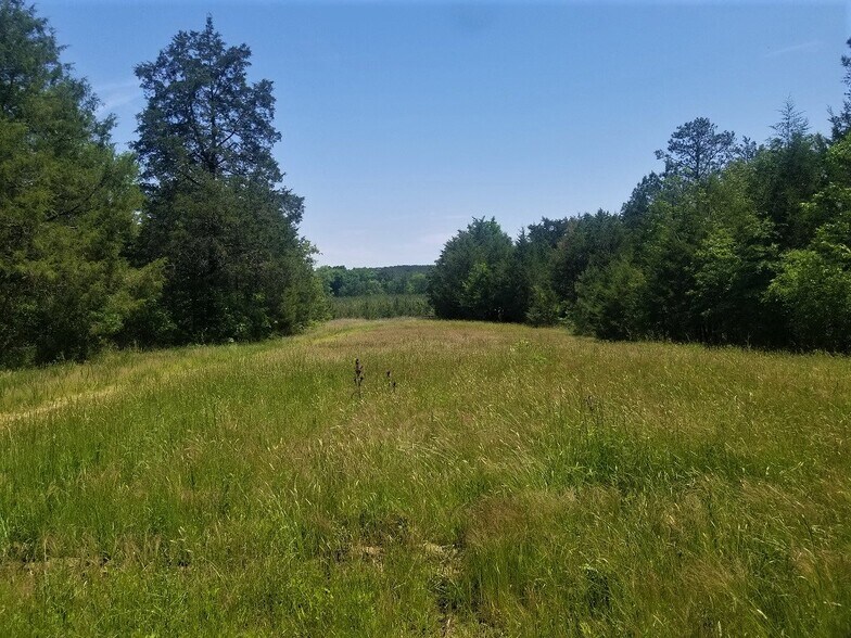 0 Glymph Rd, Whitmire, SC for sale - Primary Photo - Image 1 of 1