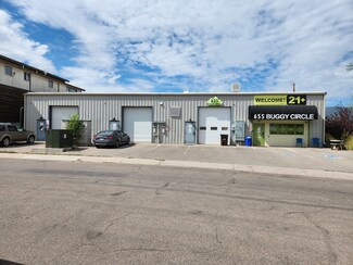 More details for 655 Buggy Cir, Carbondale, CO - Flex for Lease