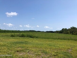 More details for TBD Trahan Rd., New Iberia, LA - Land for Sale