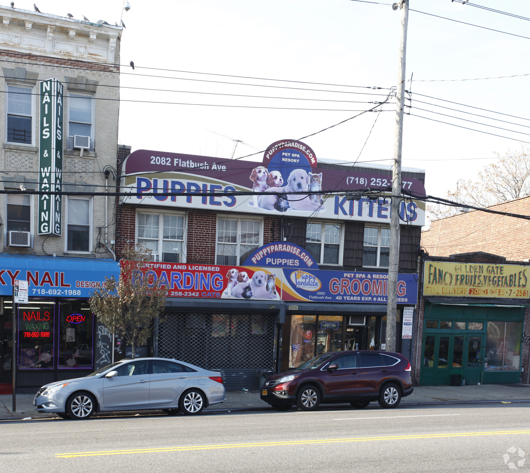 2082 Flatbush Ave, Brooklyn, NY for sale Primary Photo- Image 1 of 1