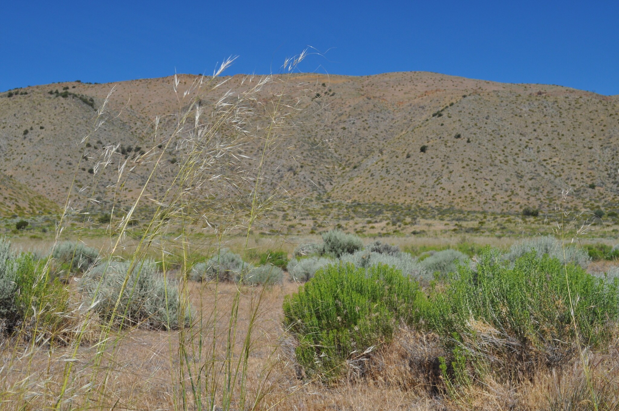 14455 Pyramid Way, Reno, NV for sale Other- Image 1 of 1