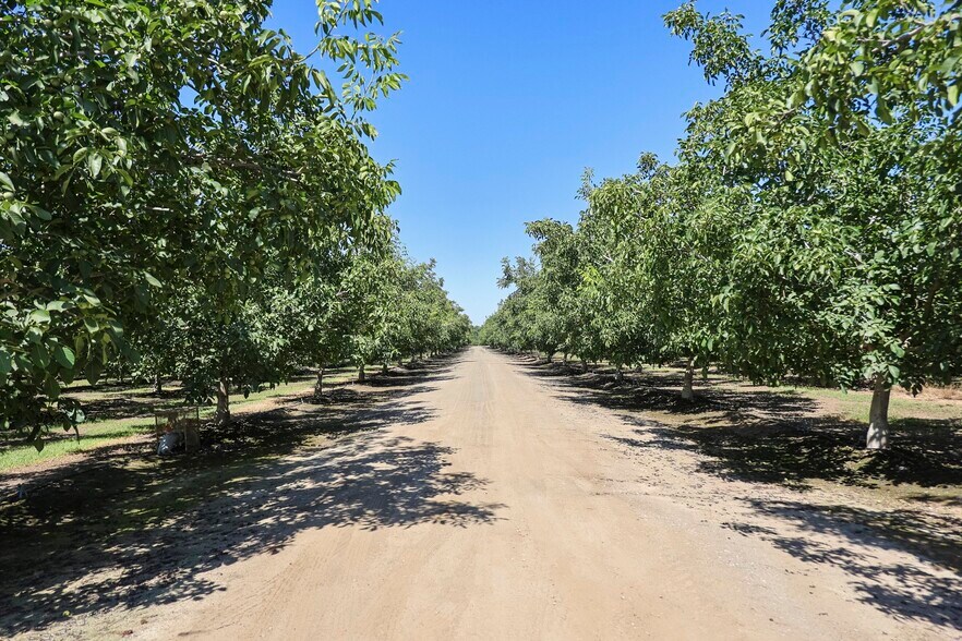 6th Avenue, Kingsburg, CA 93631 +/280.82 Ac. Chandler Walnuts