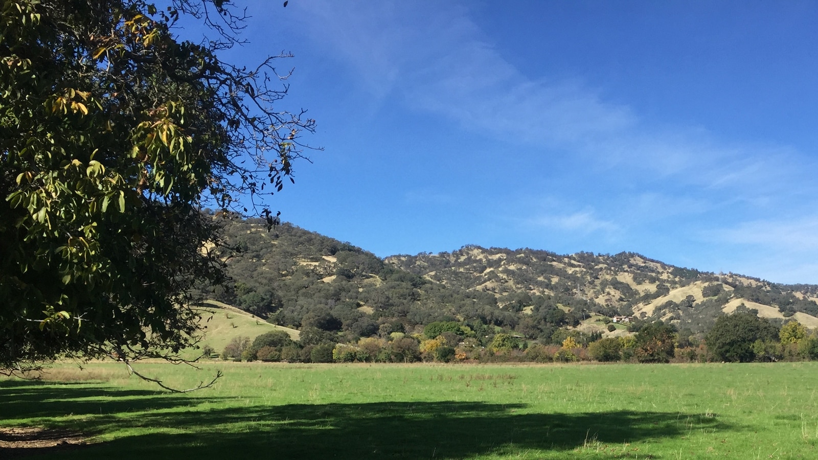 6079 Pleasants Valley Rd, Vacaville, CA for sale Primary Photo- Image 1 of 1