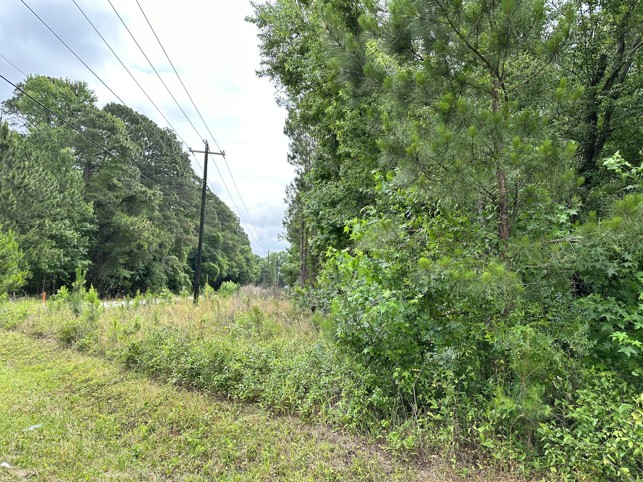 Lot 4 Robert Smalls Pkwy, Beaufort, SC 29906 - Lot 4 Robert Smalls Pkwy ...