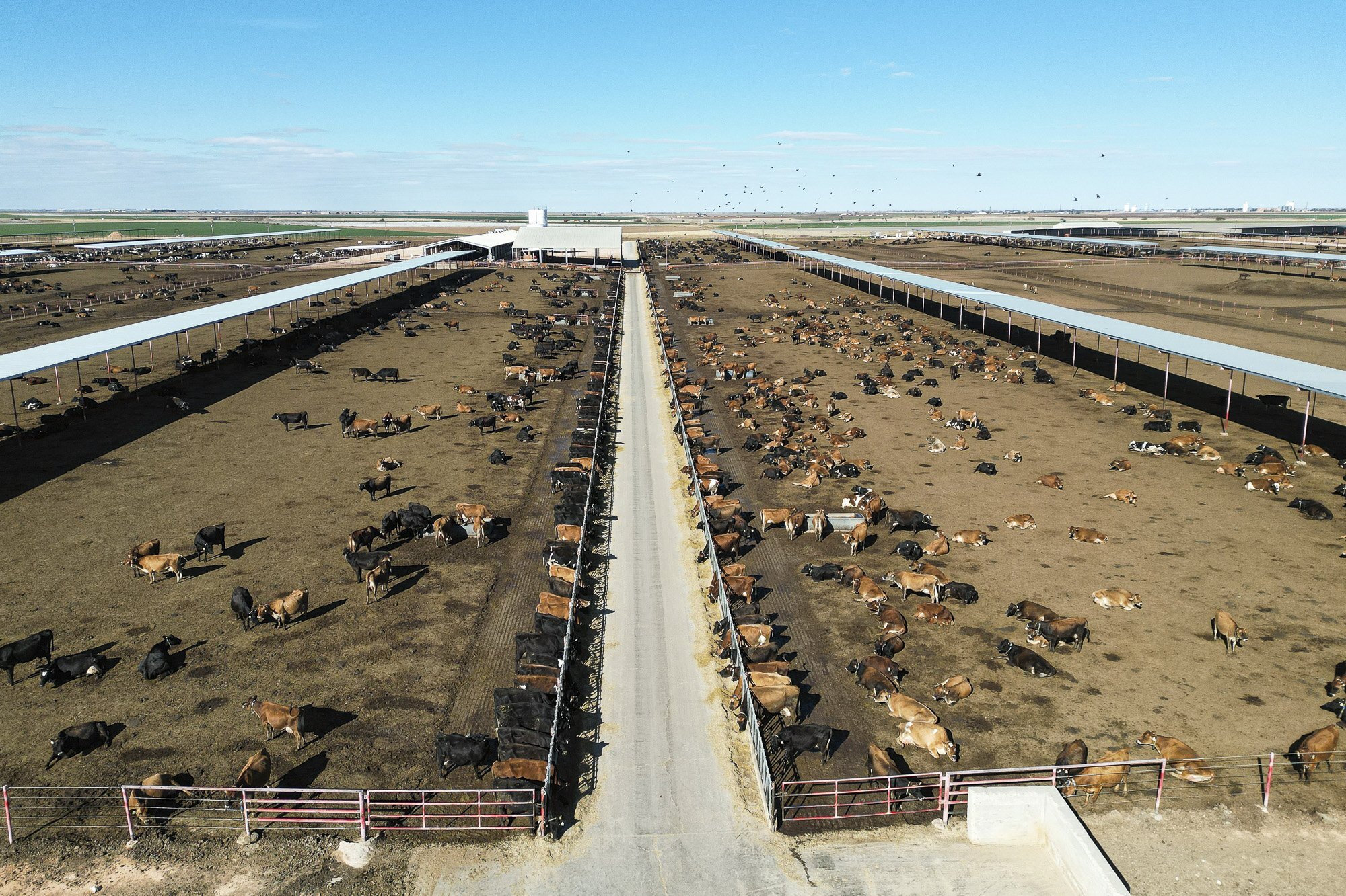 2300 Co. Rd. 628, Hart, TX 79043 +/5,360 Ac. Dairy & Farmland, Hart