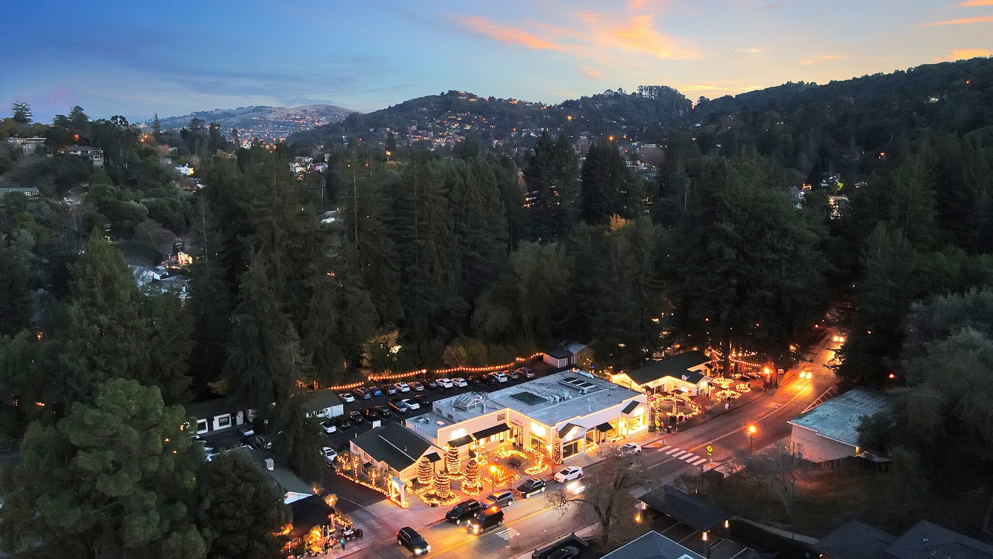 274 Magnolia Ave, Larkspur, CA for lease Primary Photo- Image 1 of 2