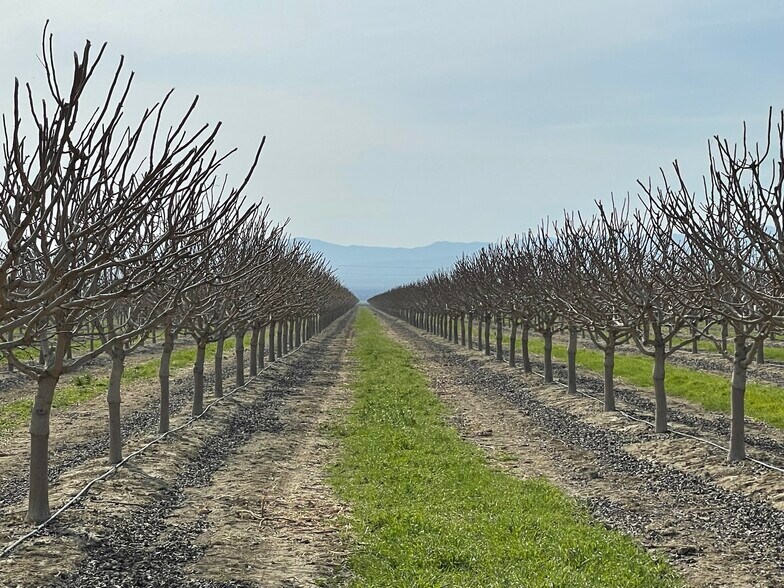 West Manning Avenue, Mendota, CA 93640