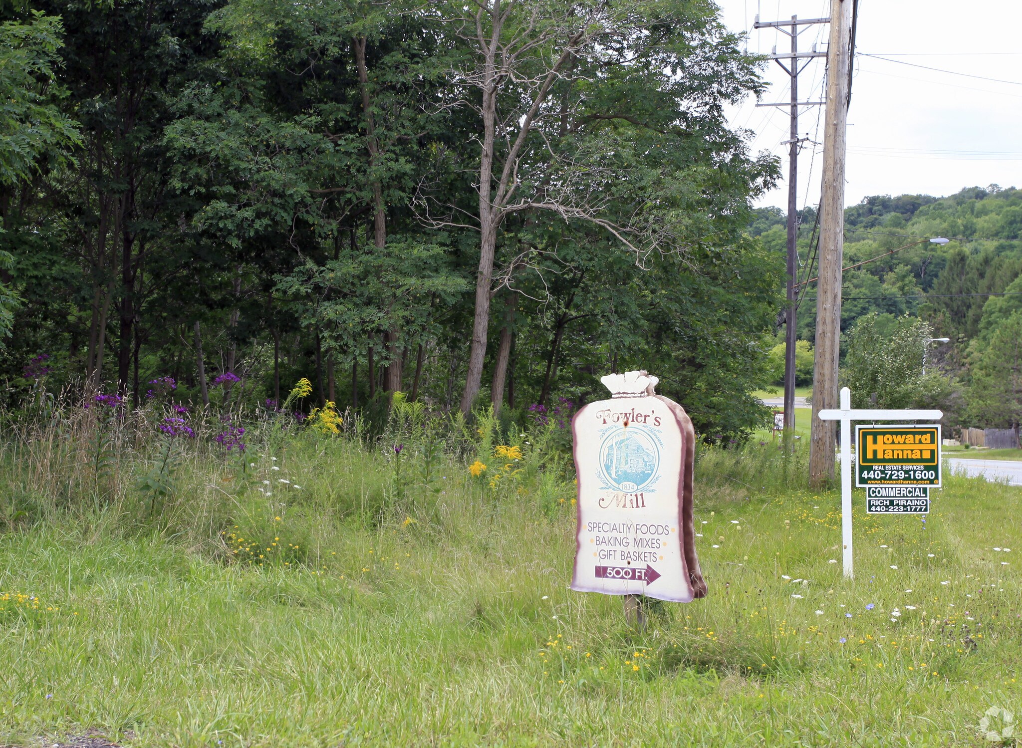 Mayfield & Fowlers Mill Rd, Chesterland, OH for sale Primary Photo- Image 1 of 1