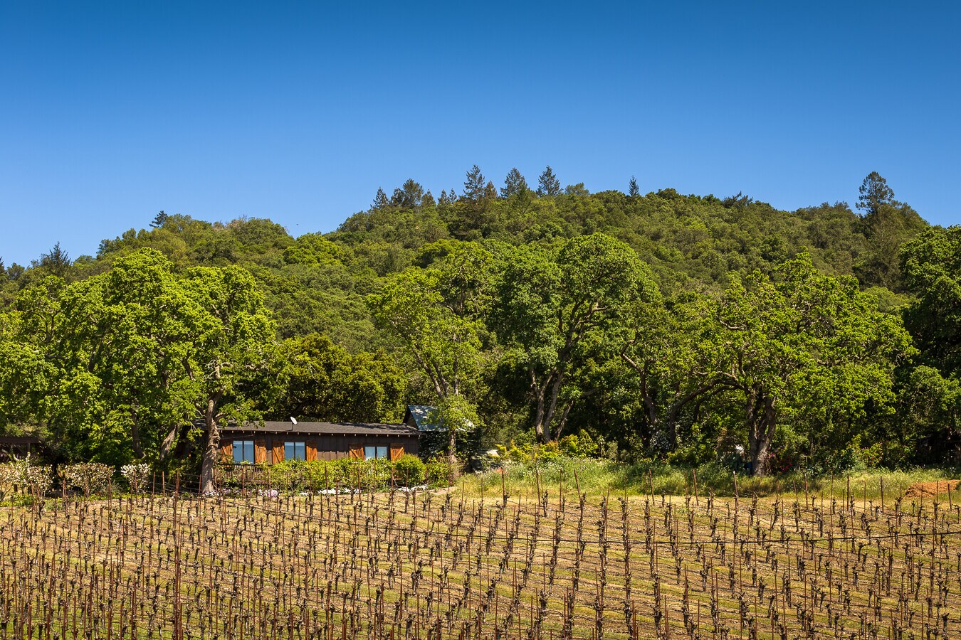 6295 Melita Rd, Santa Rosa, CA 95409