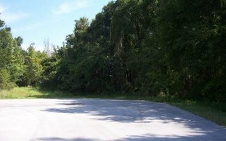 More details for NW Devane St, Lake City, FL - Land for Sale
