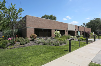 More details for 1250 N Mill St, Naperville, IL - Office/Medical for Lease