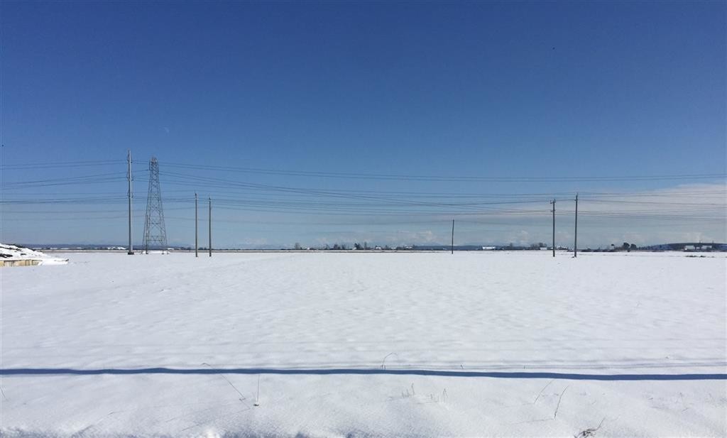 3820 64 St, Delta, BC for sale Other- Image 1 of 1