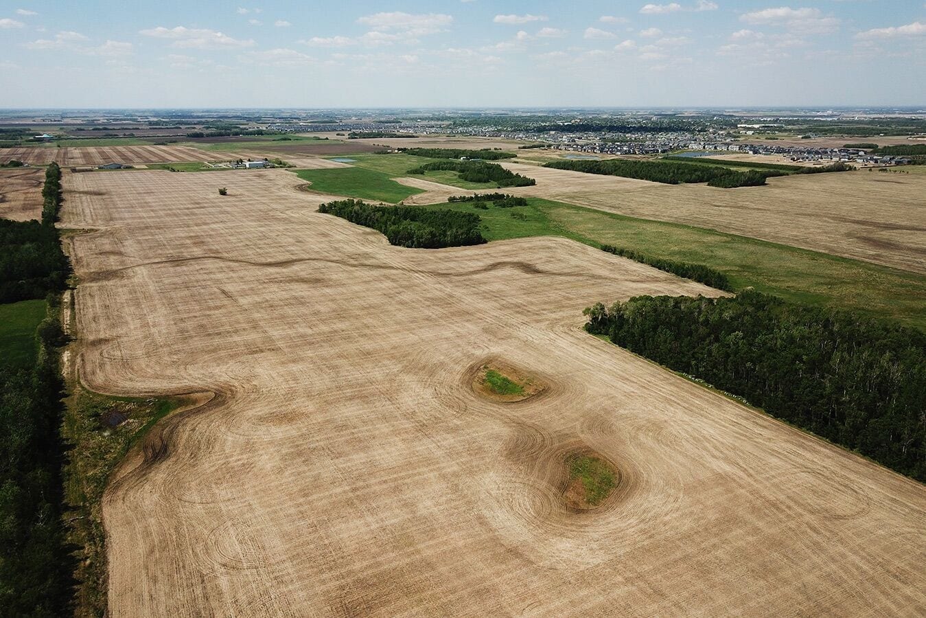 Leduc County, Leduc County, AB T0C 2K0 1 Minutes South of Leduc