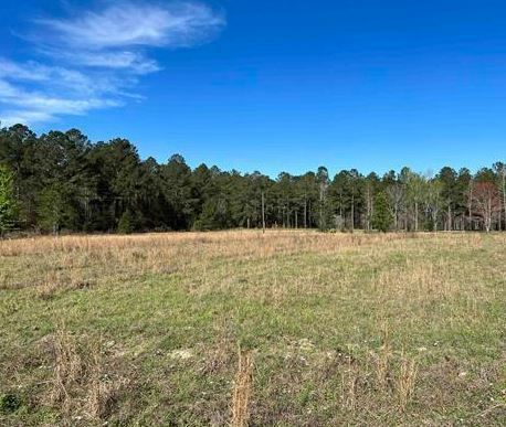 Honey Bee Road, Hawkinsville, GA for sale Other- Image 1 of 1