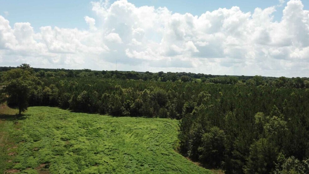 HWY 102, Rosevine, TX 75972