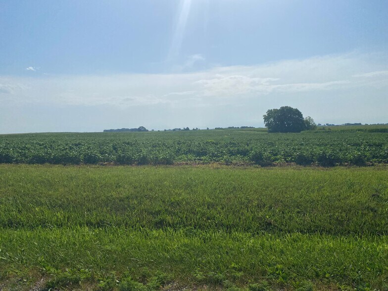 3221N8E CR, Dewey, IL 61840 Farm Land Champaign County