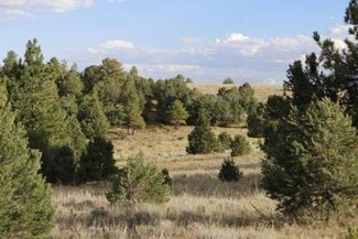 More details for Honey Hole On Texas Crk, Westcliffe, CO - Land for Sale