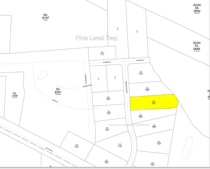 Pine Valley Pky, Selma, NC for sale - Primary Photo - Image 1 of 1