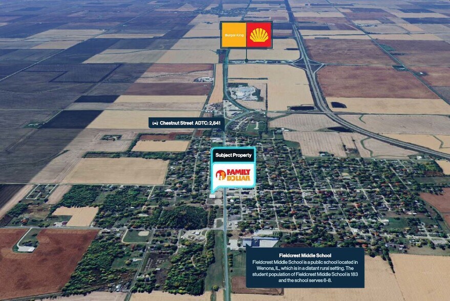 215 Chestnut st, Wenona, IL 61377 Family Dollar