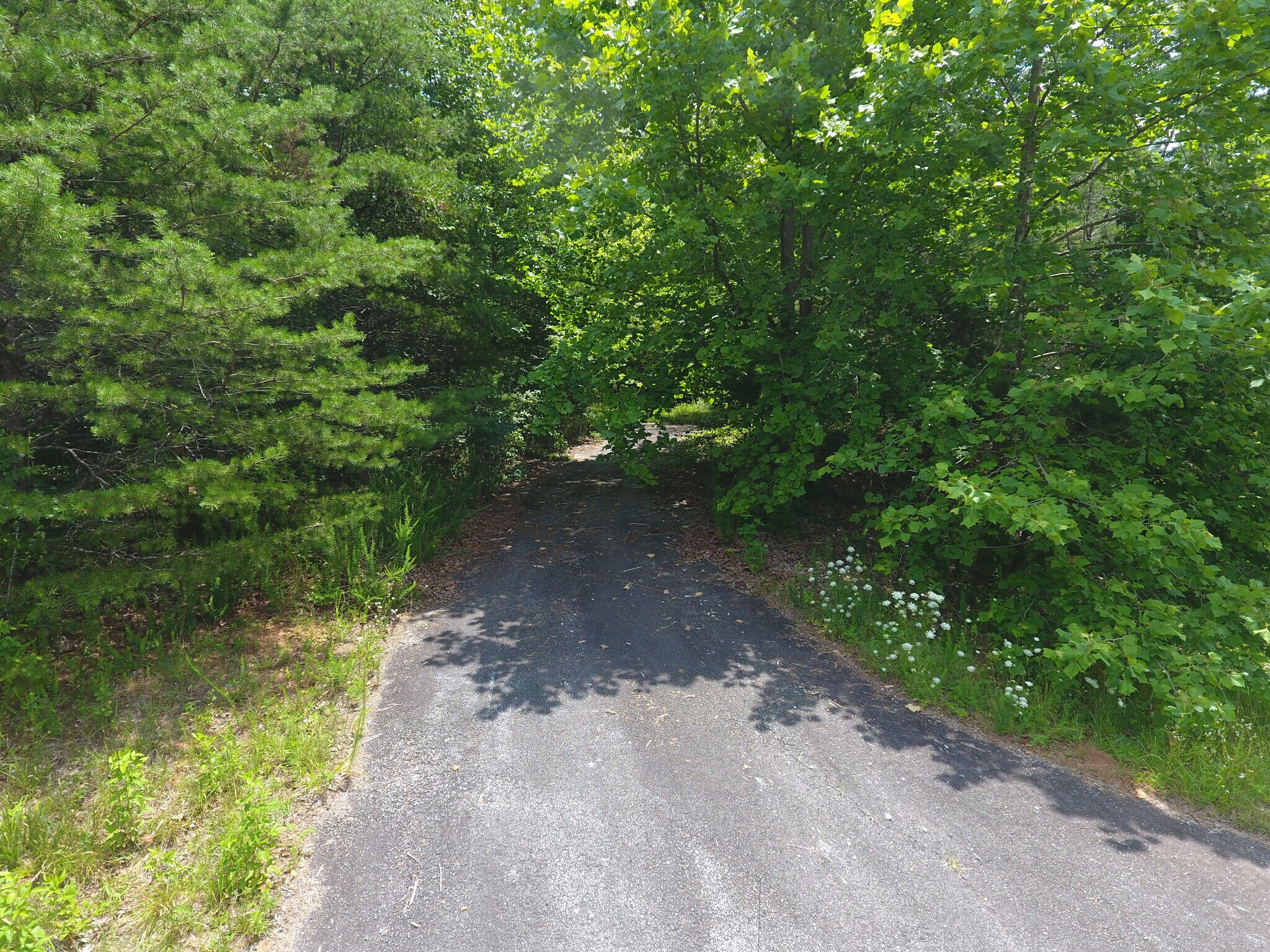 Highway 441 Closure - kv3rh01