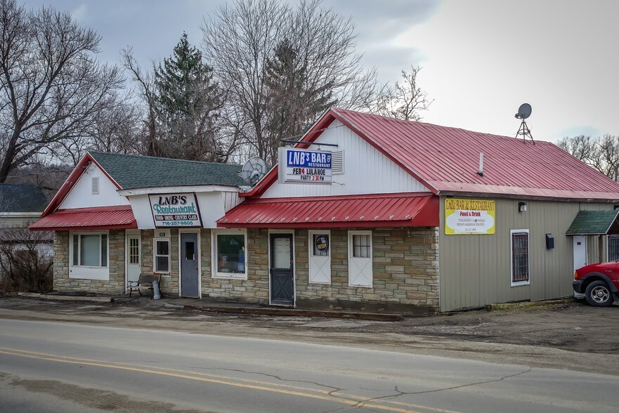 8981 Reed Hill Rd, East Otto, NY 14729