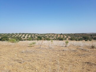 More details for Land for Sale