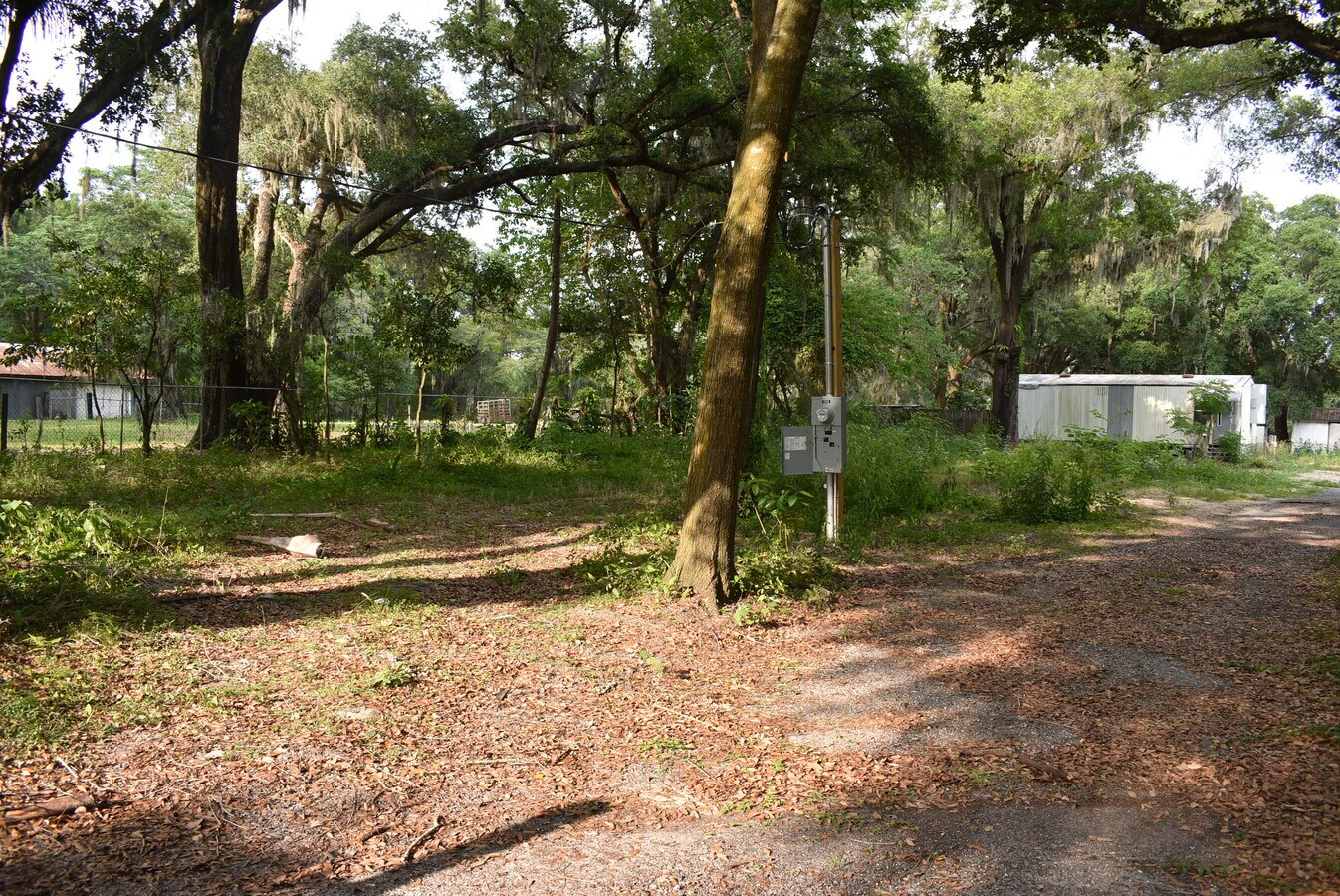 6711 Williams Rd, Seffner, FL 33584