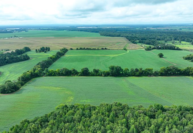 Fennell Ln, Tanner, AL for sale - Building Photo - Image 3 of 11