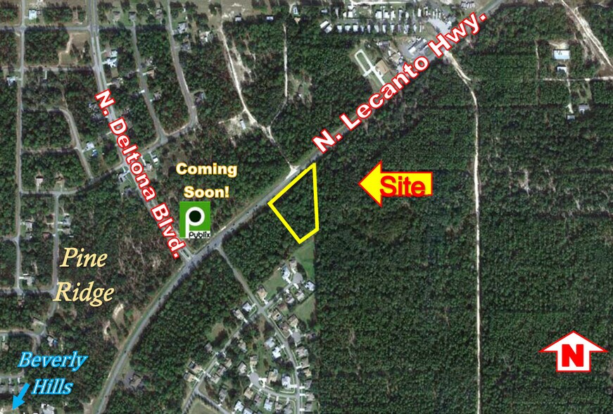 6545 N Lecanto Hwy, Beverly Hills, FL 34465 Land for Sale