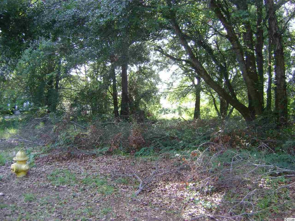 View Photo