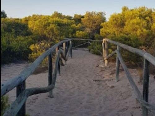 Land in Elche, Alicante for sale - Building Photo - Image 2 of 6