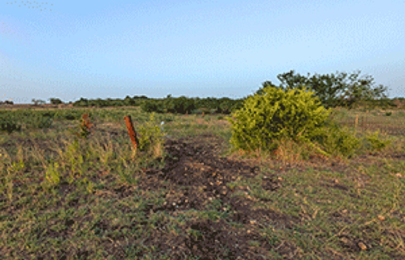 11080 Ware Seguin Rd, Schertz, TX for sale Primary Photo- Image 1 of 1