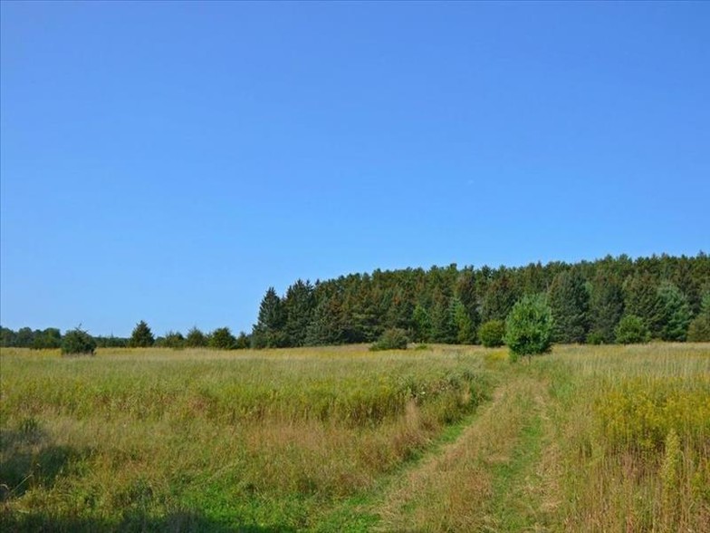 HUCKLEBERRY Rd, Princeton, WI for sale - Other - Image 1 of 1