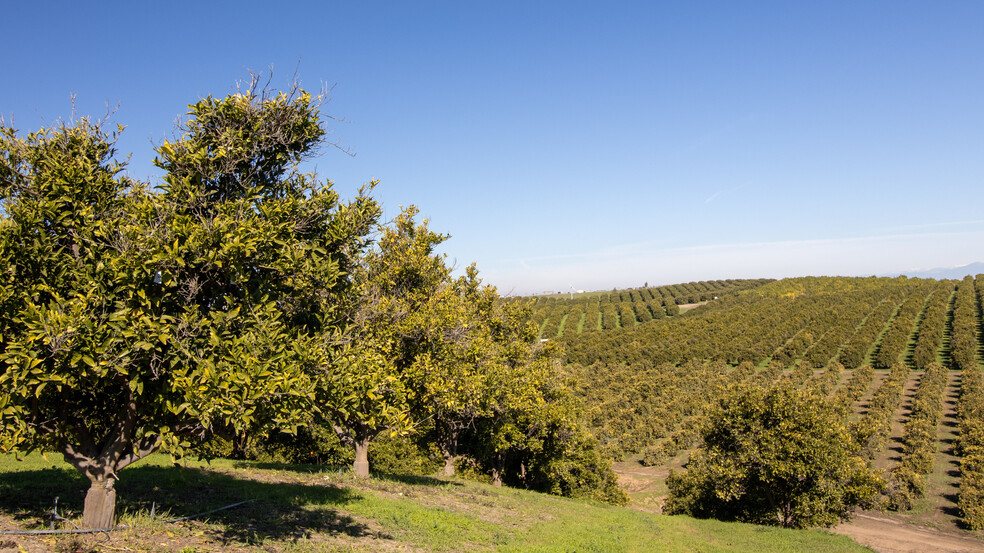 14265 Highway 65, Bakersfield, CA for sale - Other - Image 1 of 1