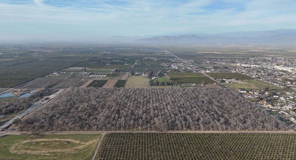 Ave 324, Ivanhoe, CA for sale - Primary Photo - Image 1 of 1