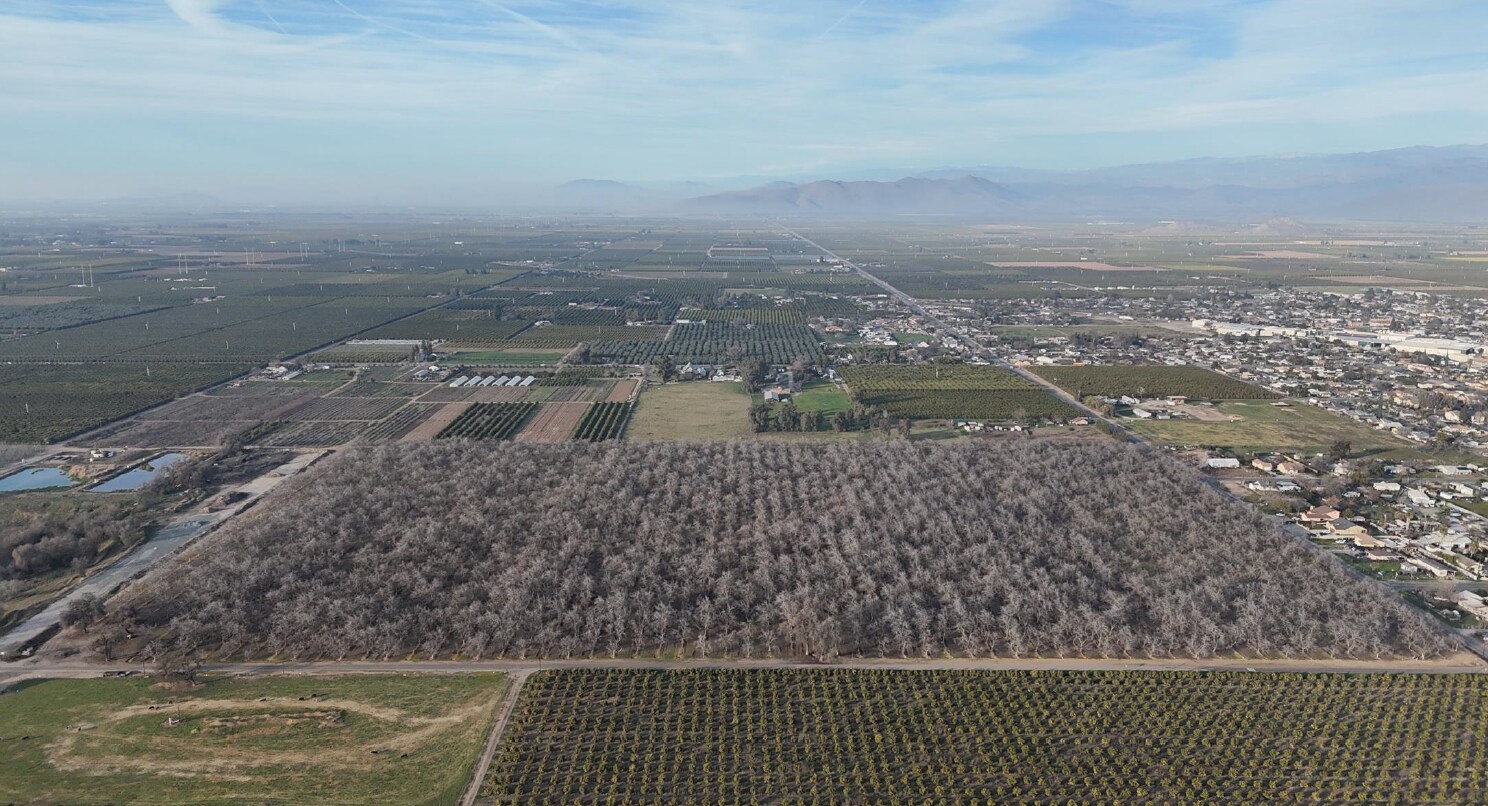 Ave 324, Ivanhoe, CA for sale Primary Photo- Image 1 of 1