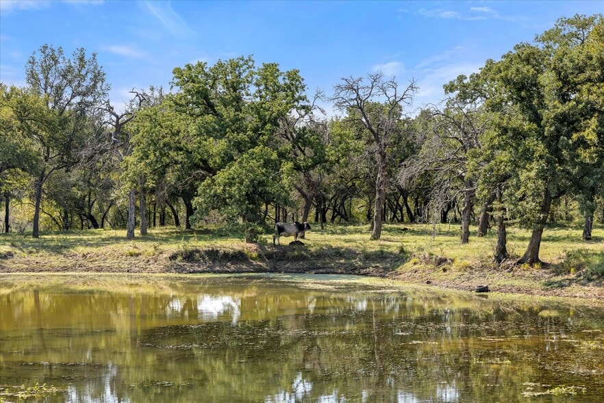11230 Light Rd, Lipan, TX for sale - Building Photo - Image 3 of 40