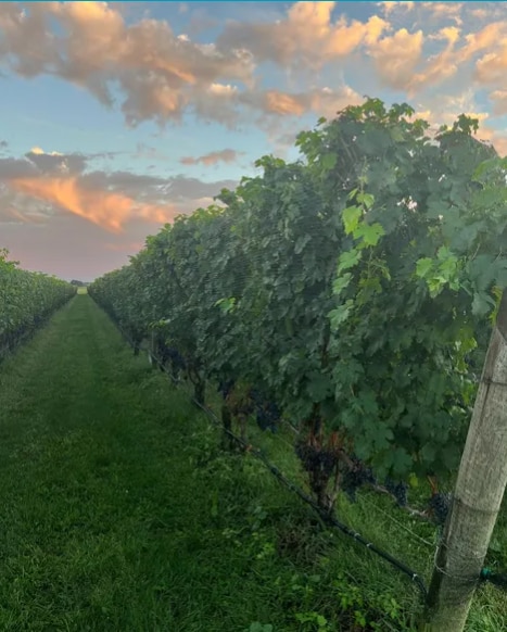 6094 Sound Ave, Jamesport, NY for sale - Building Photo - Image 3 of 4