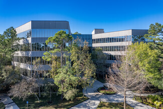 More details for 2001 Timberloch Pl, The Woodlands, TX - Office for Lease