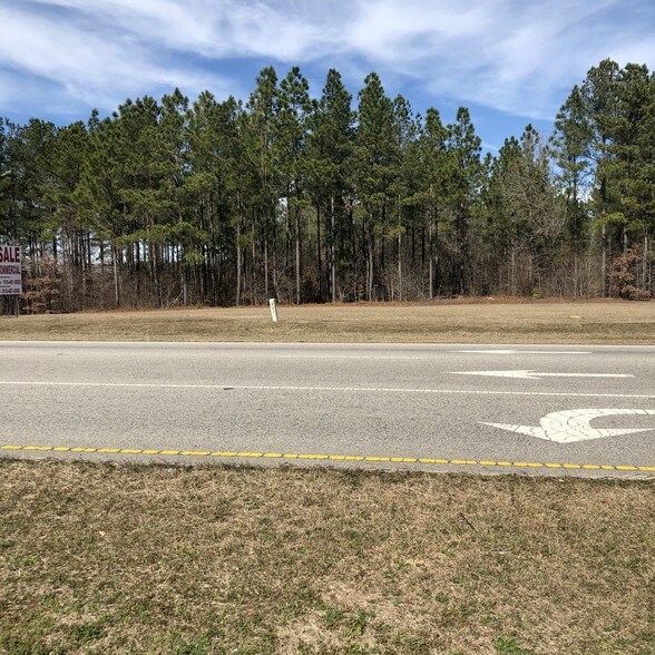 8311 Fayetteville Rd, Raeford, NC for sale - Primary Photo - Image 1 of 1