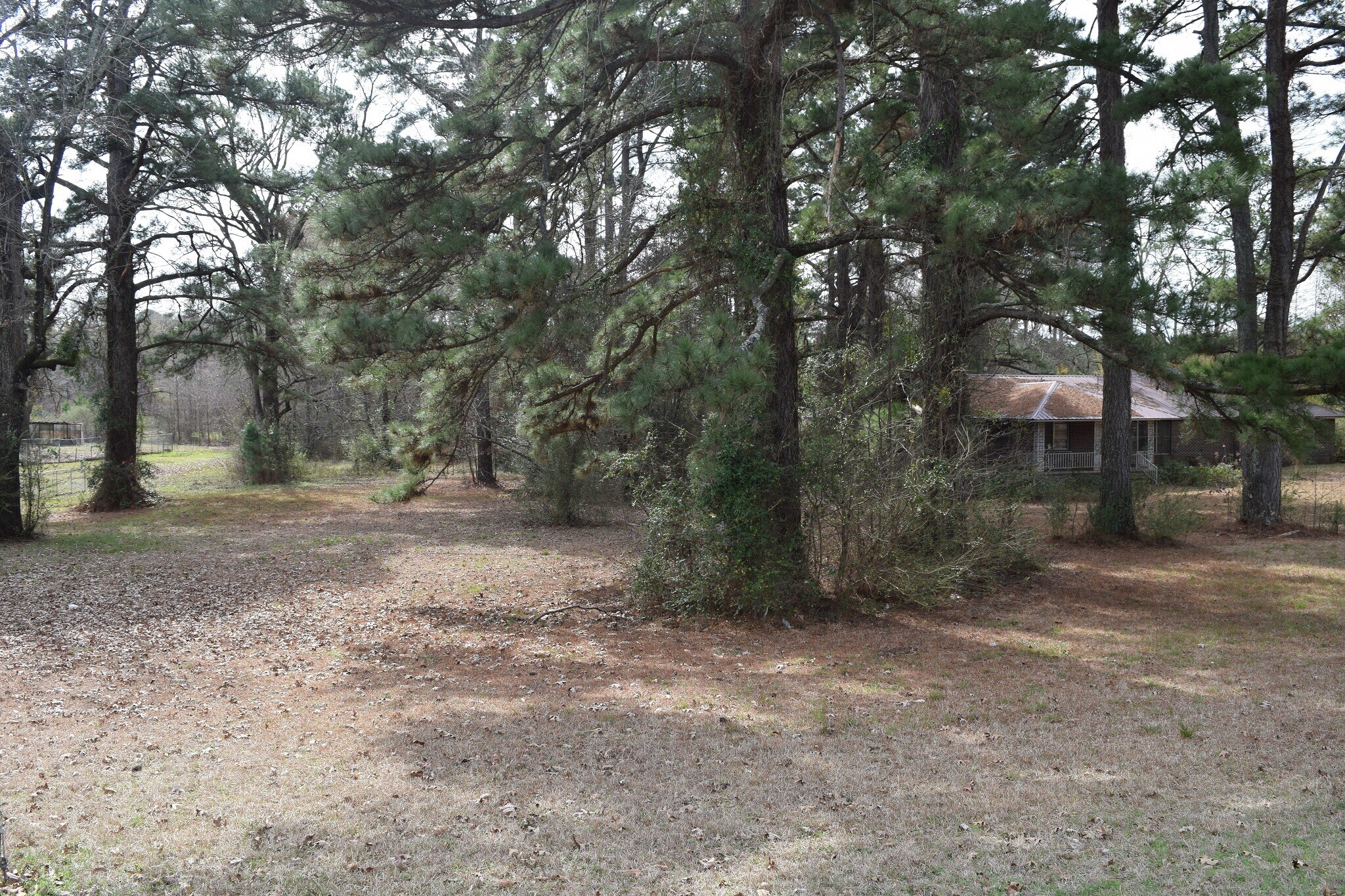 1014 Homer Rd, Minden, LA for sale Primary Photo- Image 1 of 1