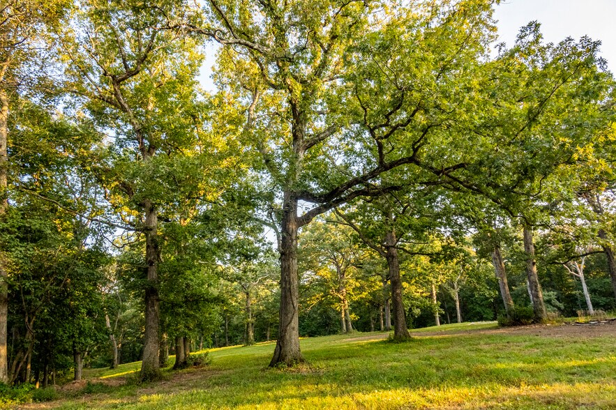 Highway D (14.4+/- Acres), Eolia, MO for sale - Primary Photo - Image 2 of 35