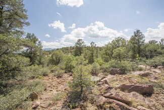 More details for 1200 Airport, Payson, AZ - Land for Sale