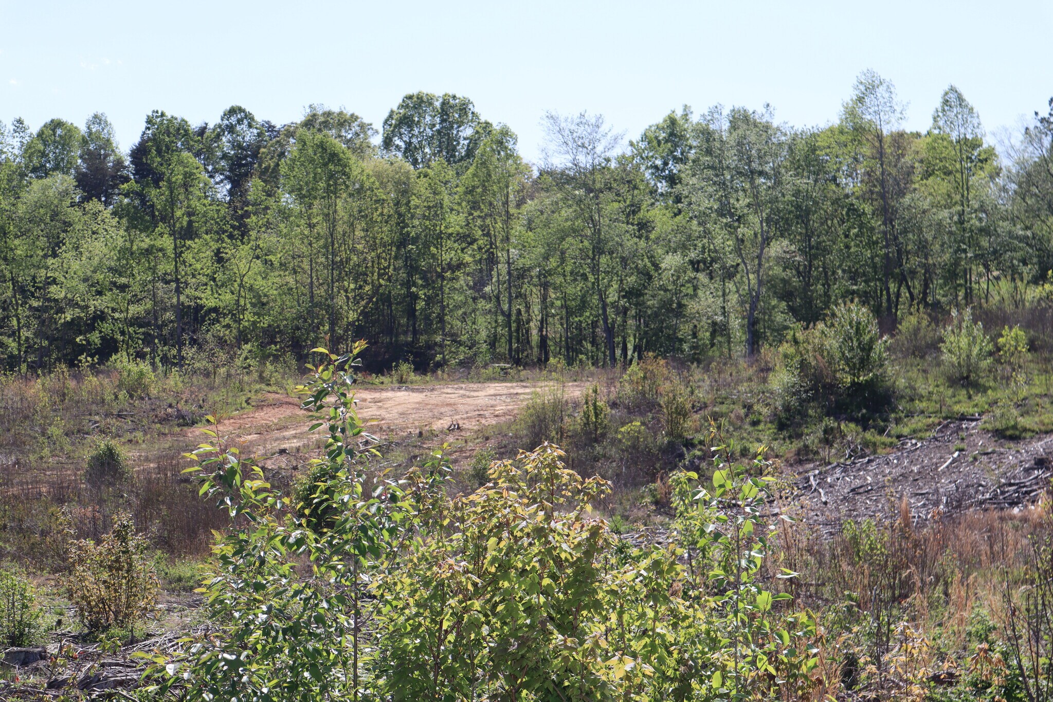 174 Pritchett Rd, Browns Summit, NC for sale Primary Photo- Image 1 of 1