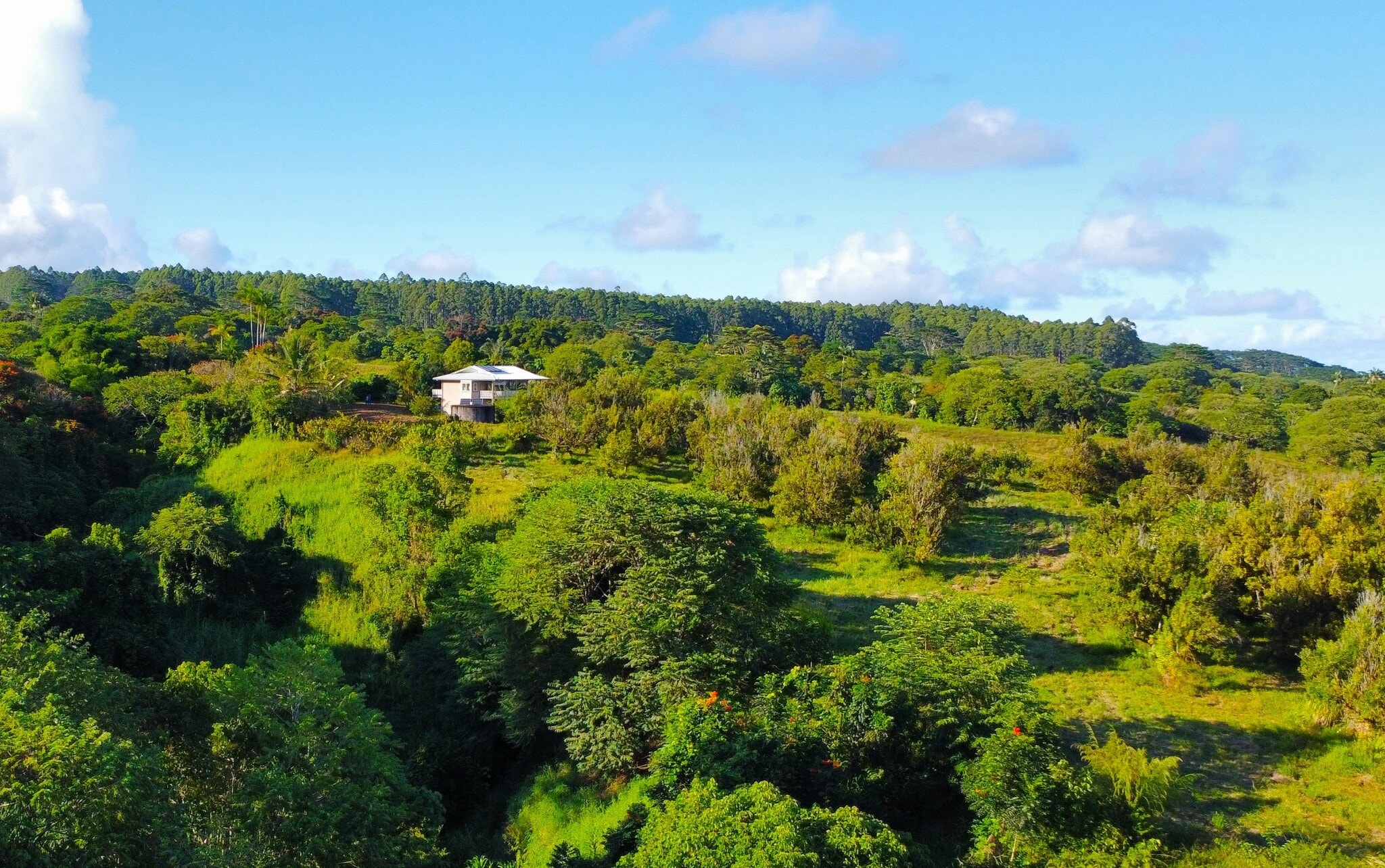 2525 Maikalani St, Hilo, HI for sale Aerial- Image 1 of 9