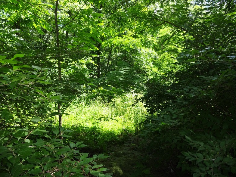 Cresap St & Broadway, Cresaptown, MD for sale - Primary Photo - Image 1 of 1