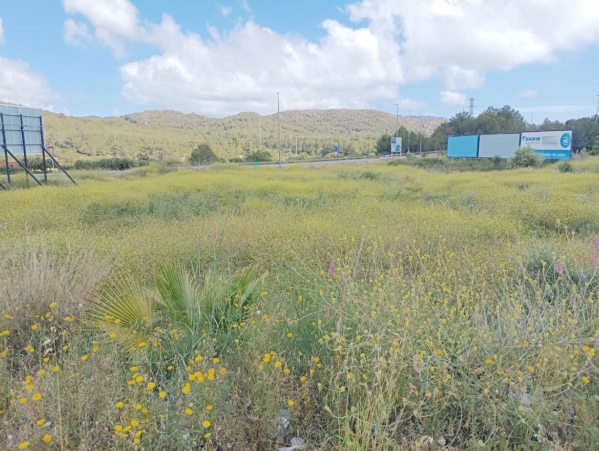 Land in Calafell, Tarragona for sale Plat Map- Image 1 of 2